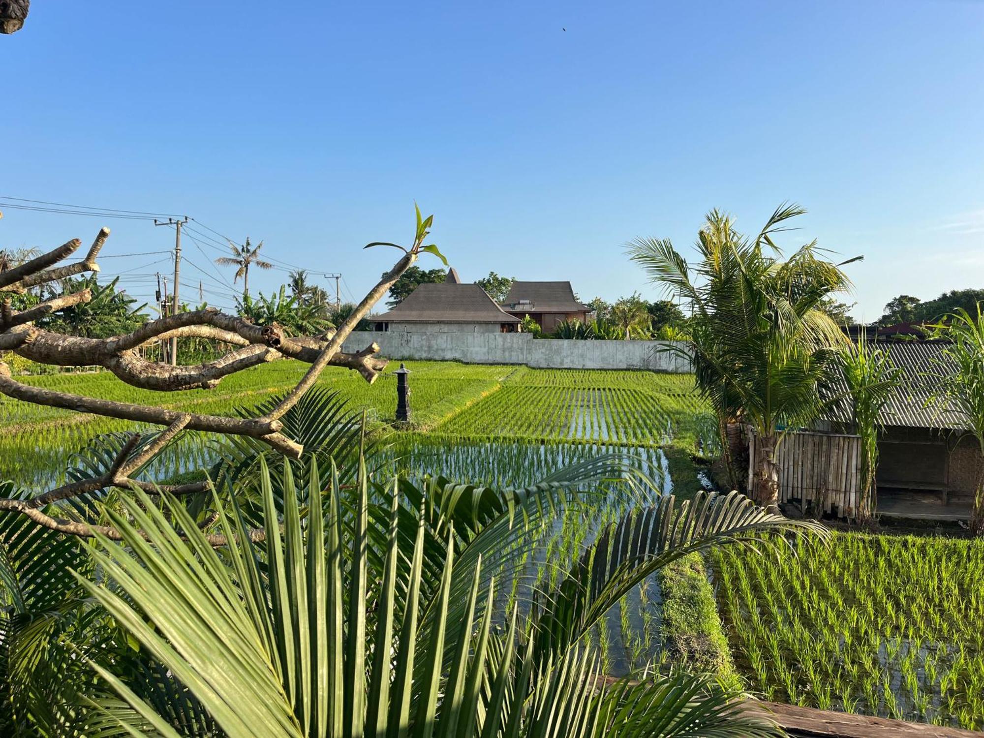 Unit Space Village Canggu Esterno foto